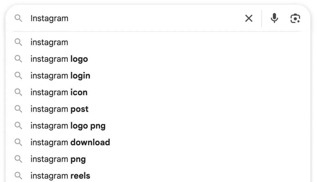 google search instagram